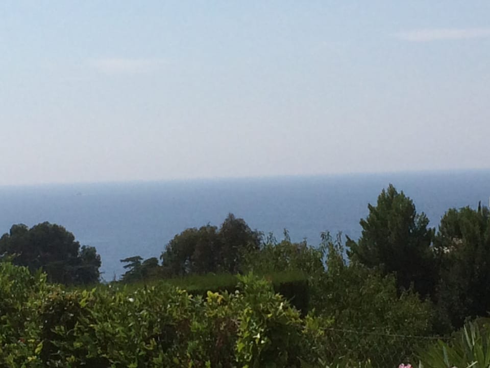 *Cannes Apartment le Mayflower terrace, garden, swimming pool, sea view, quiet area  Apartment in Cannes