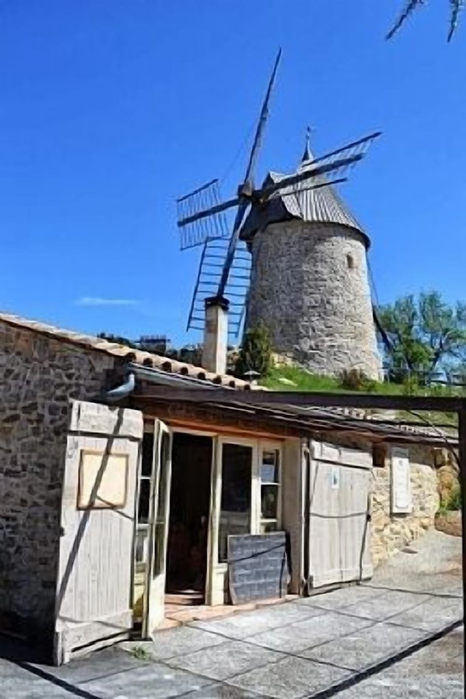 Windmill and bakery in sunshine