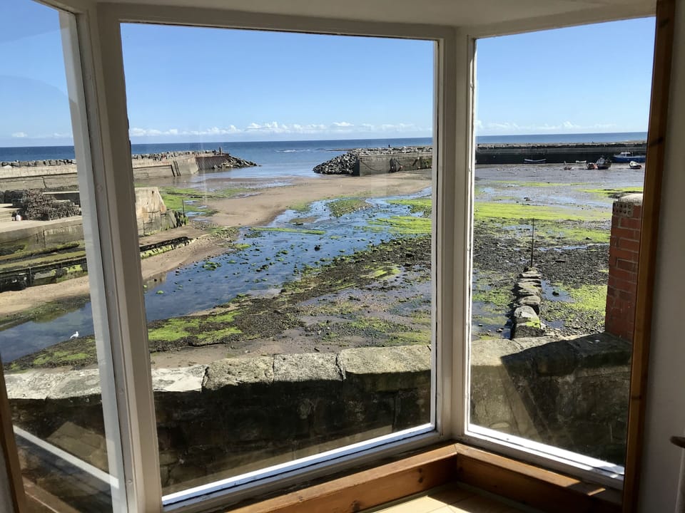 View from Cabin picture window