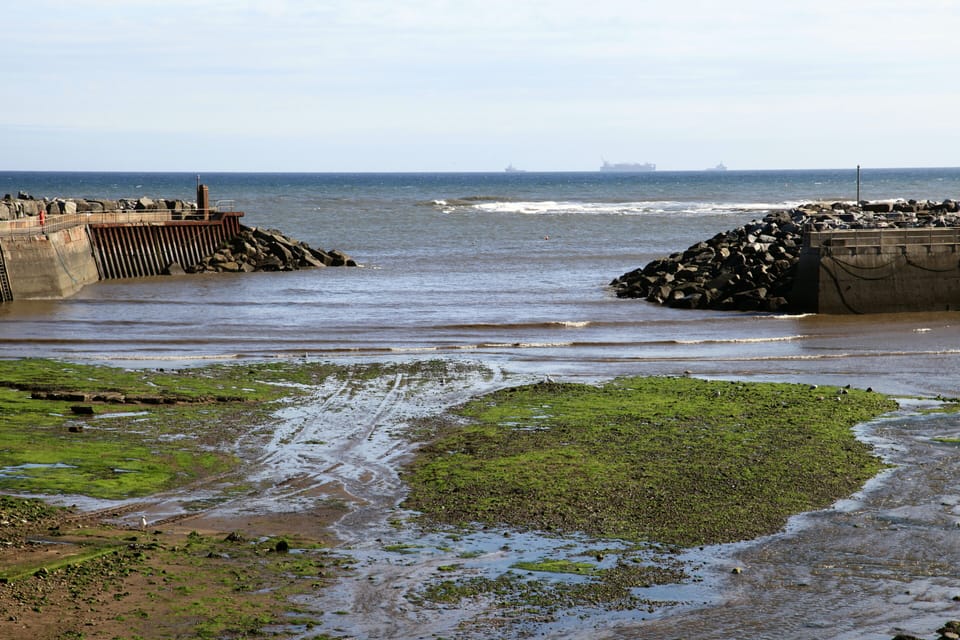 view from front terrace (low tide)
