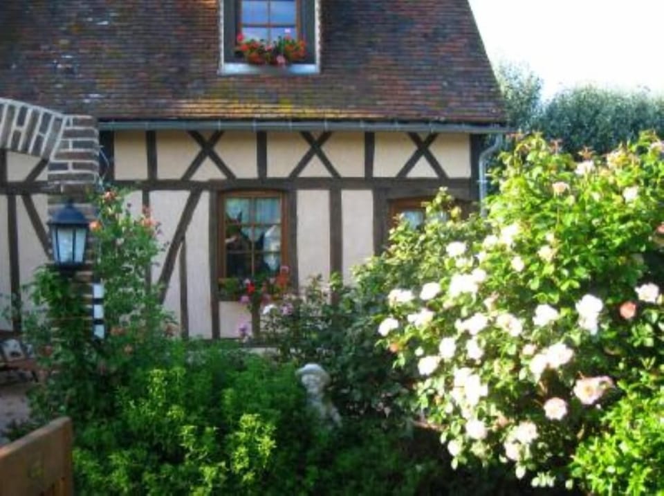Garden, Park