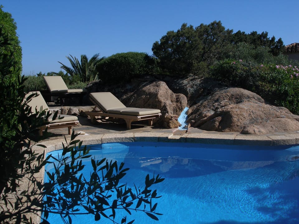 Pool with teak sun loungers