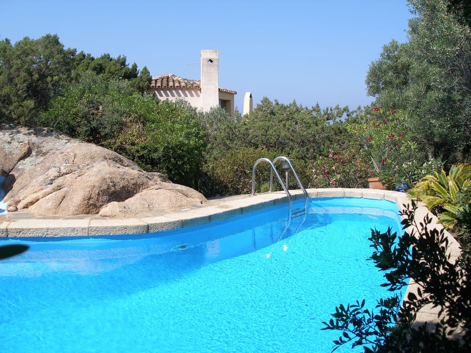 Kidney-shaped pool with villa in background