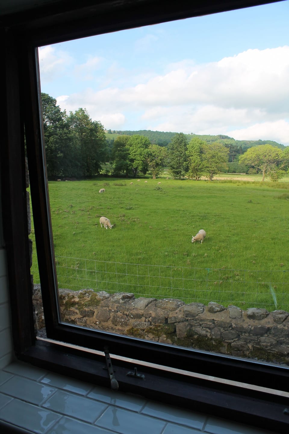 View from the kitchen