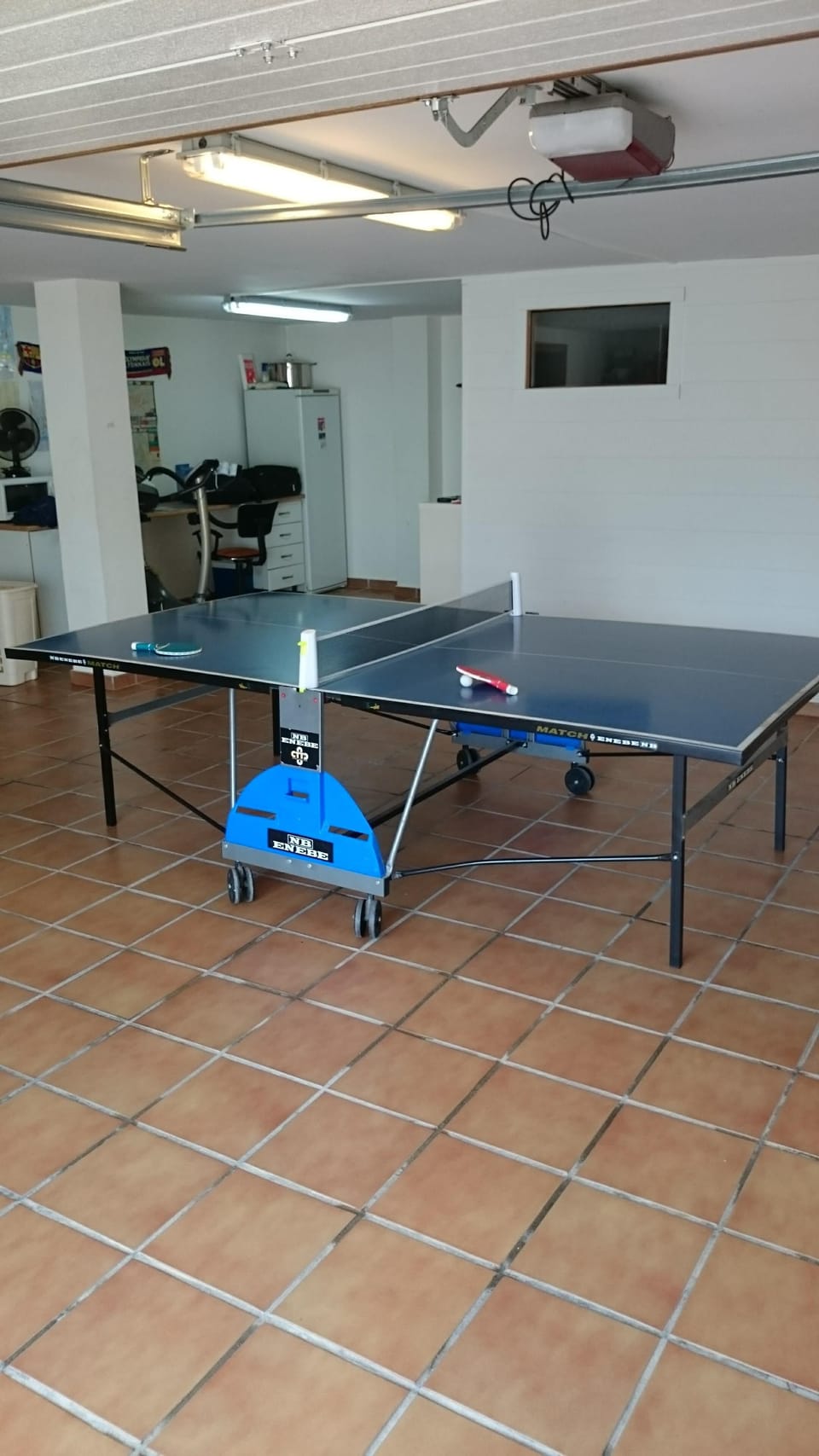 Ping pong table 