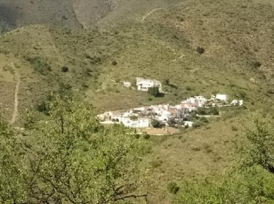 Overview