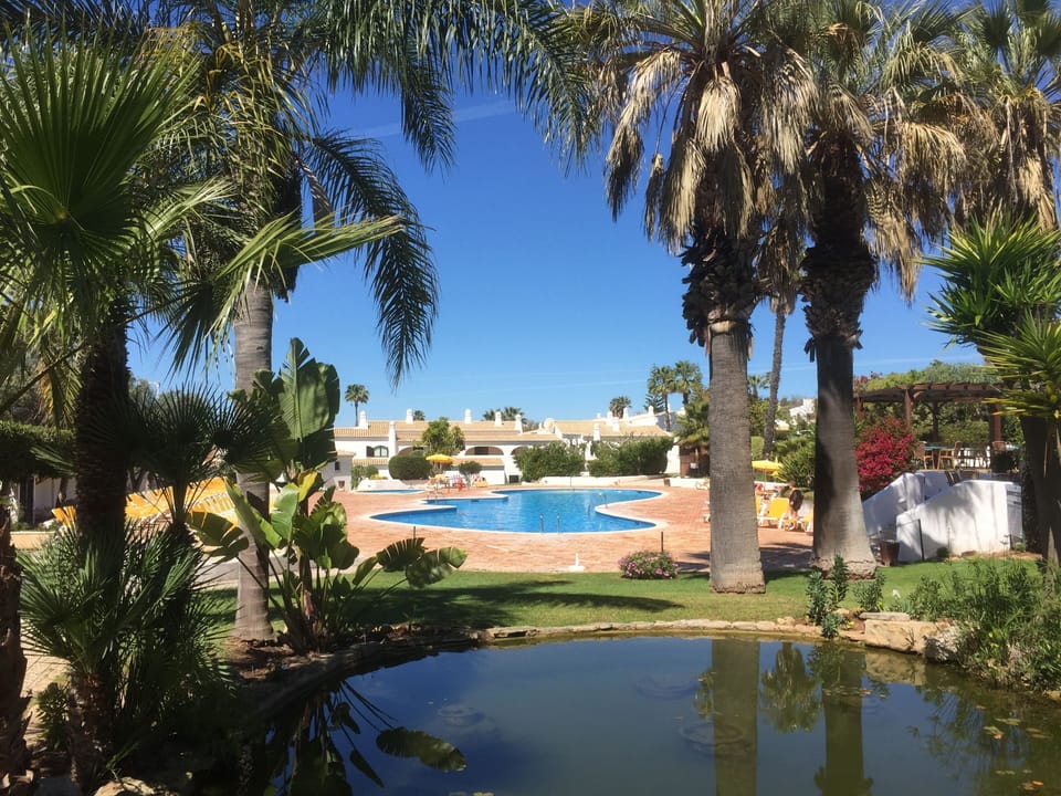 Pool and pond