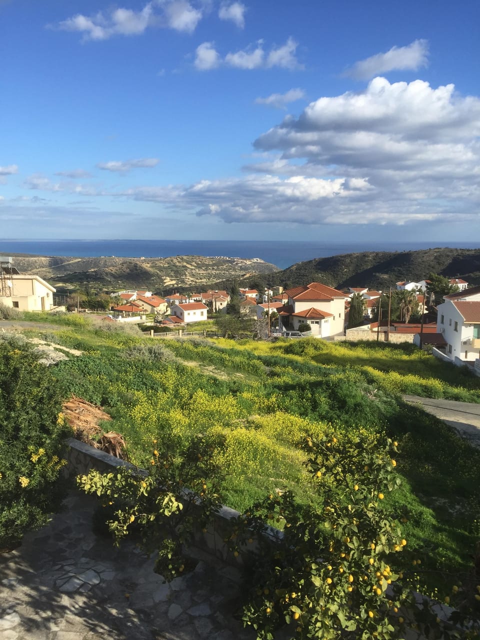 View from balcony in Spring