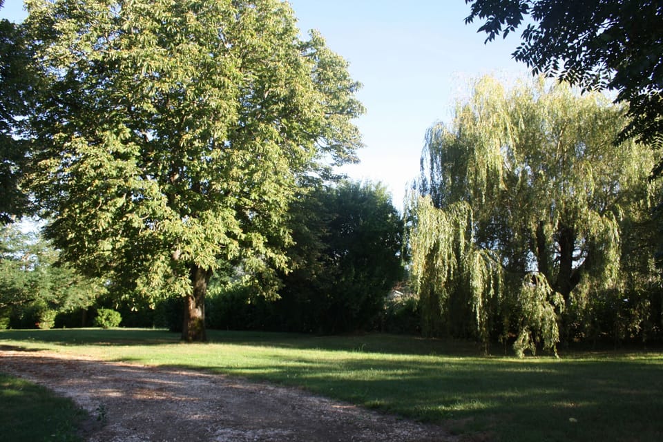 Grounds