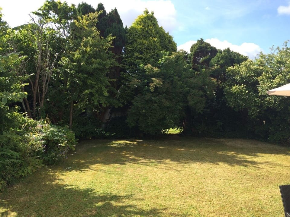 Lawn area nearest the house 