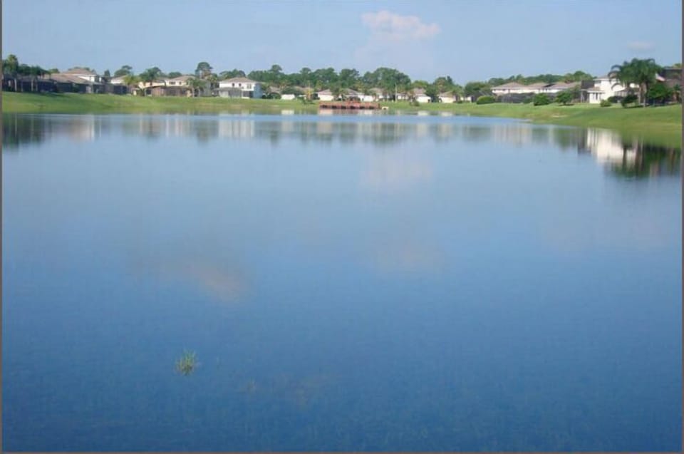 Lake views, just the ducks and turtles to keep you company!
