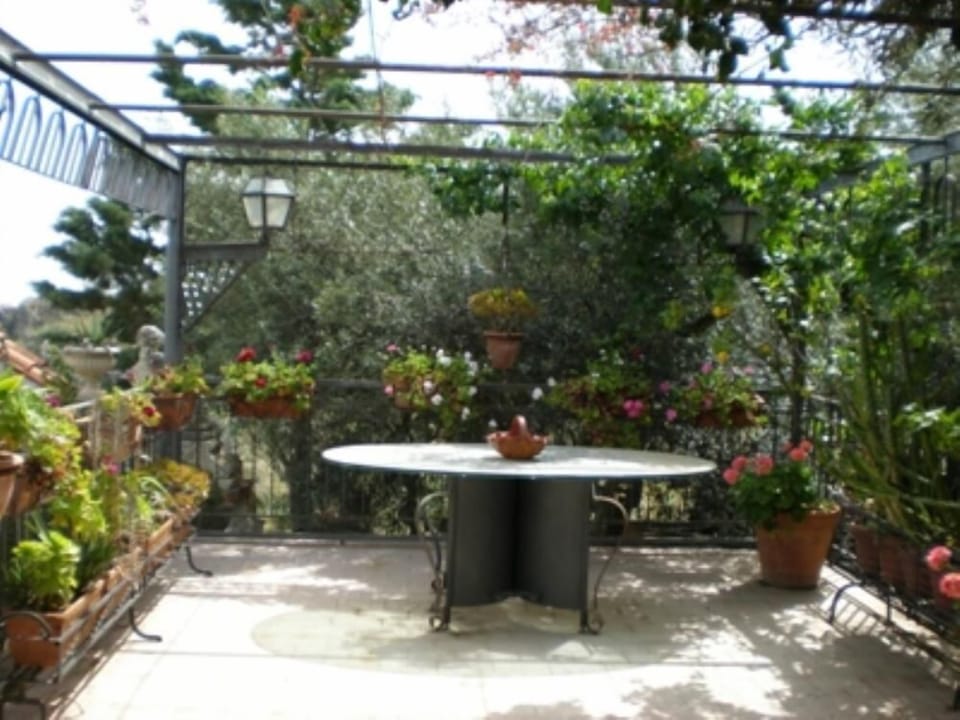 Garden, Park