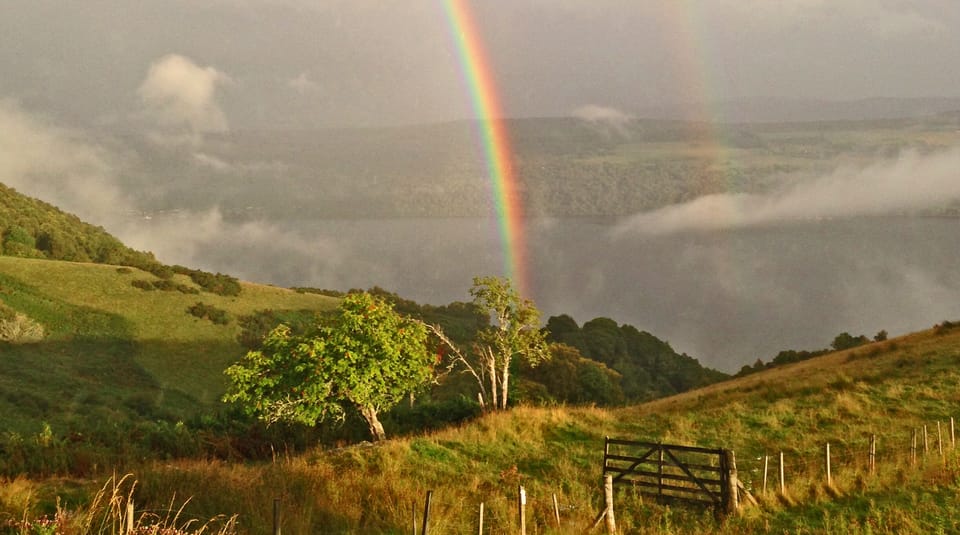 Early evening treasure...