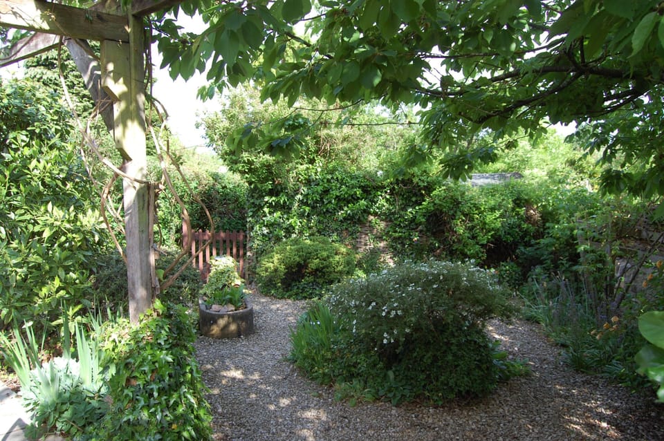 Part of the Cottage Garden