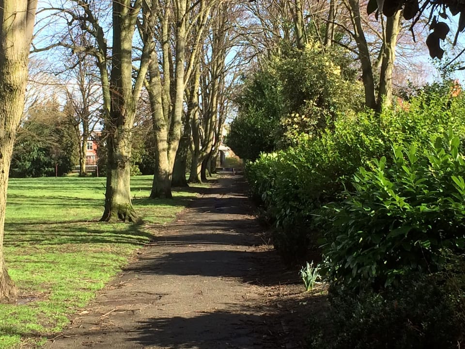 A few minutes walk away from the house is Alexandra park
