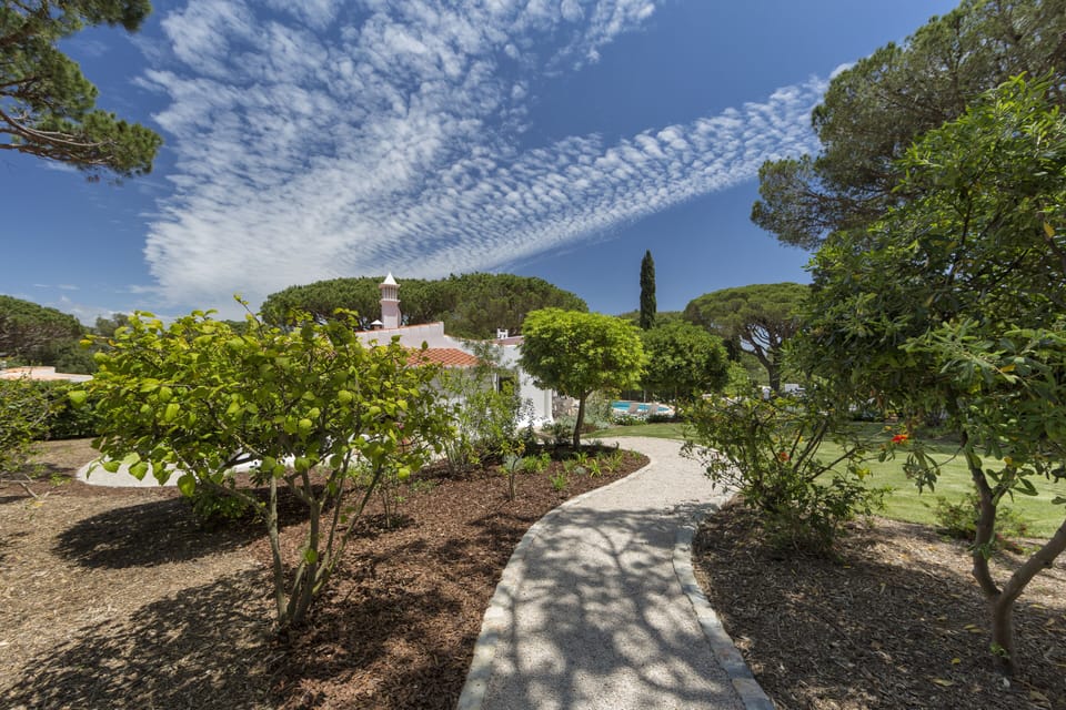 Landscaped garden with shade and sun, lawn, pool and patio