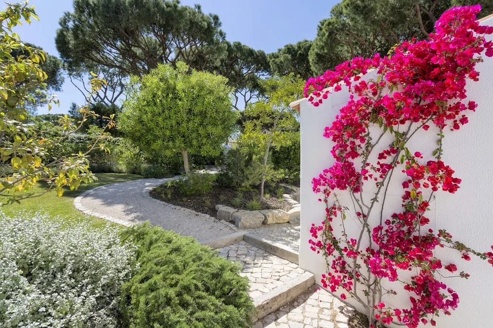 Landscaped garden.