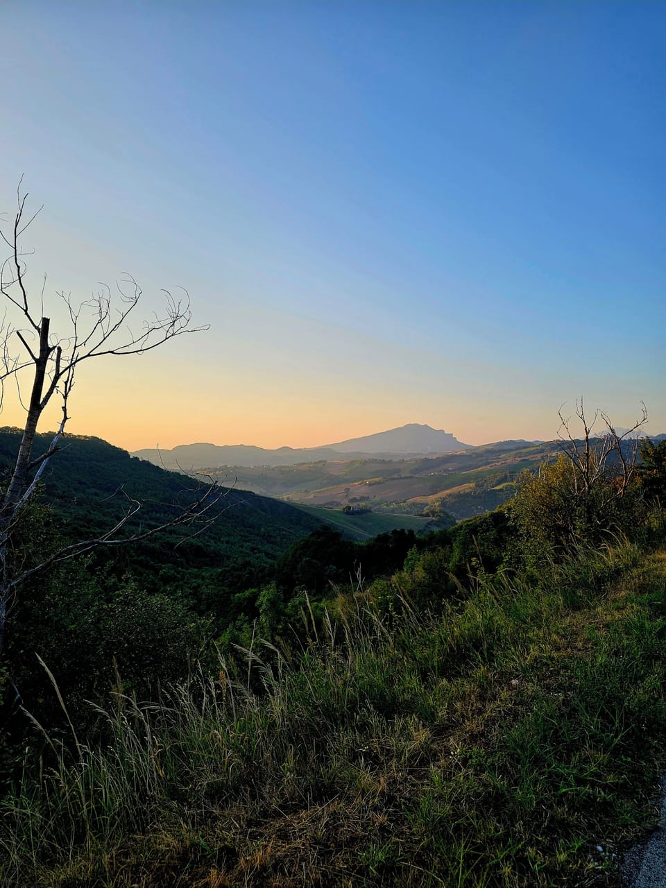 Country home with idyllic private pool set in beautifully landscaped gardens Cottage in Marche