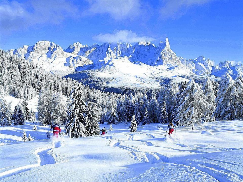 Snow and ski sports