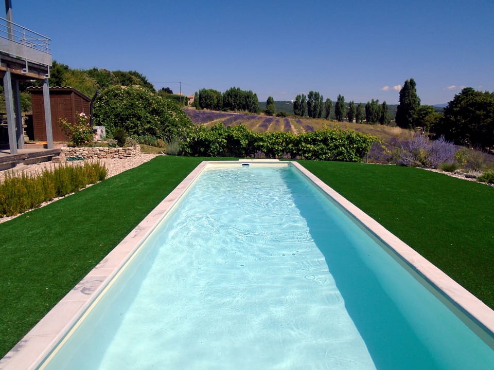 Pool and garden