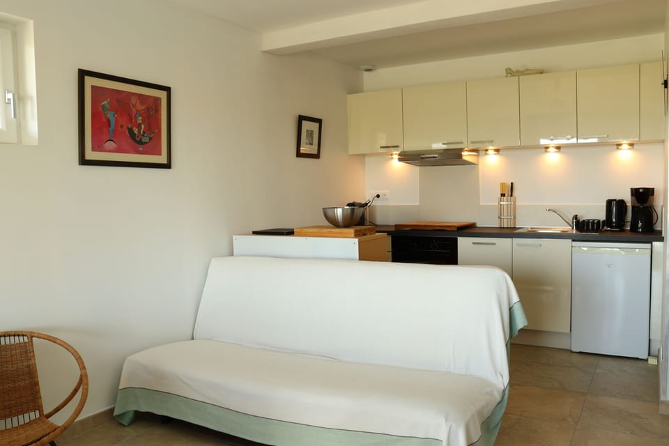 Kitchen and sofa bed (will sleep 2 people)