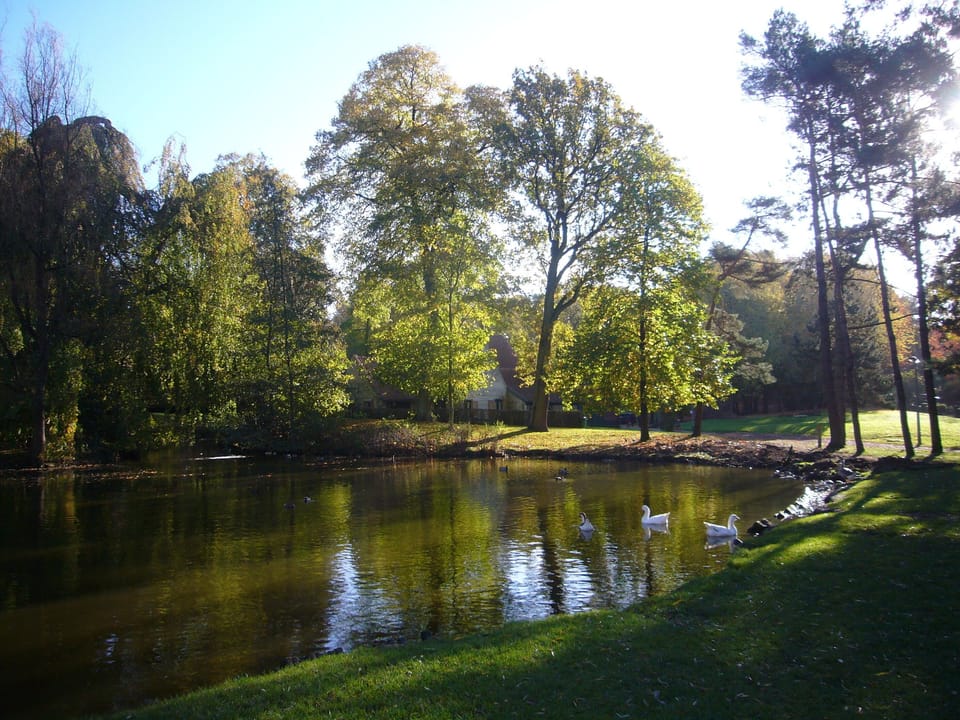 Lake