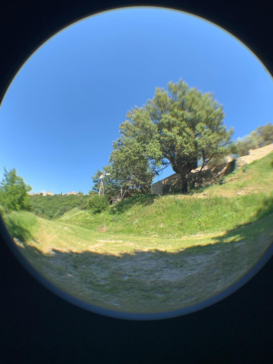 View from property