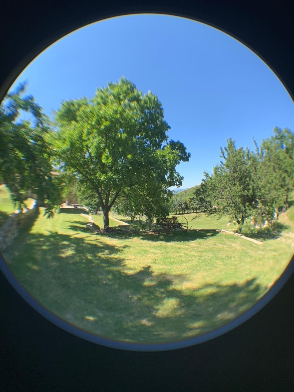 View from property