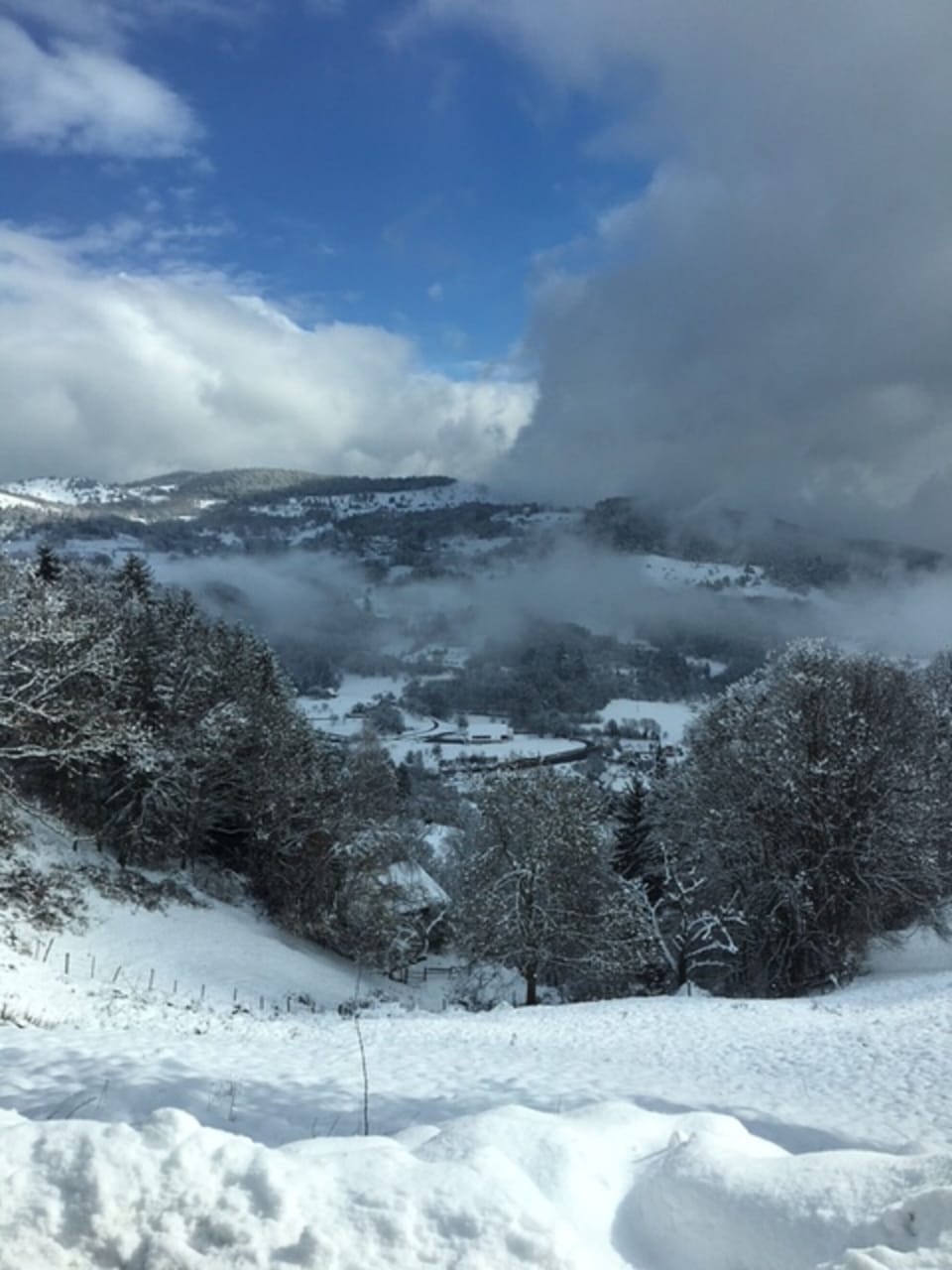 Snow and ski sports