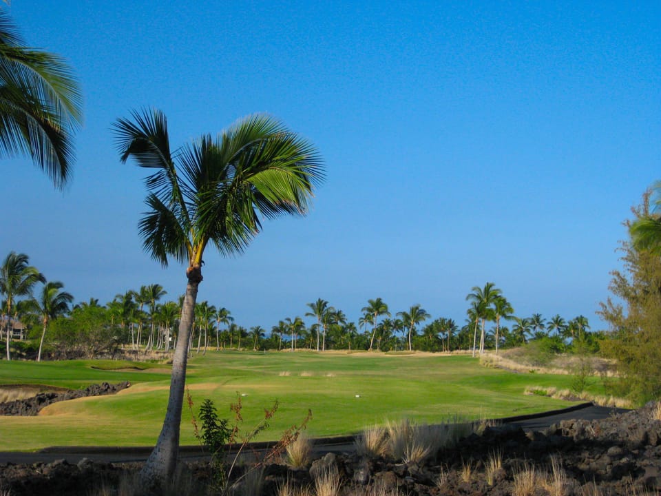 Try your luck on the Ocean or Kings Course