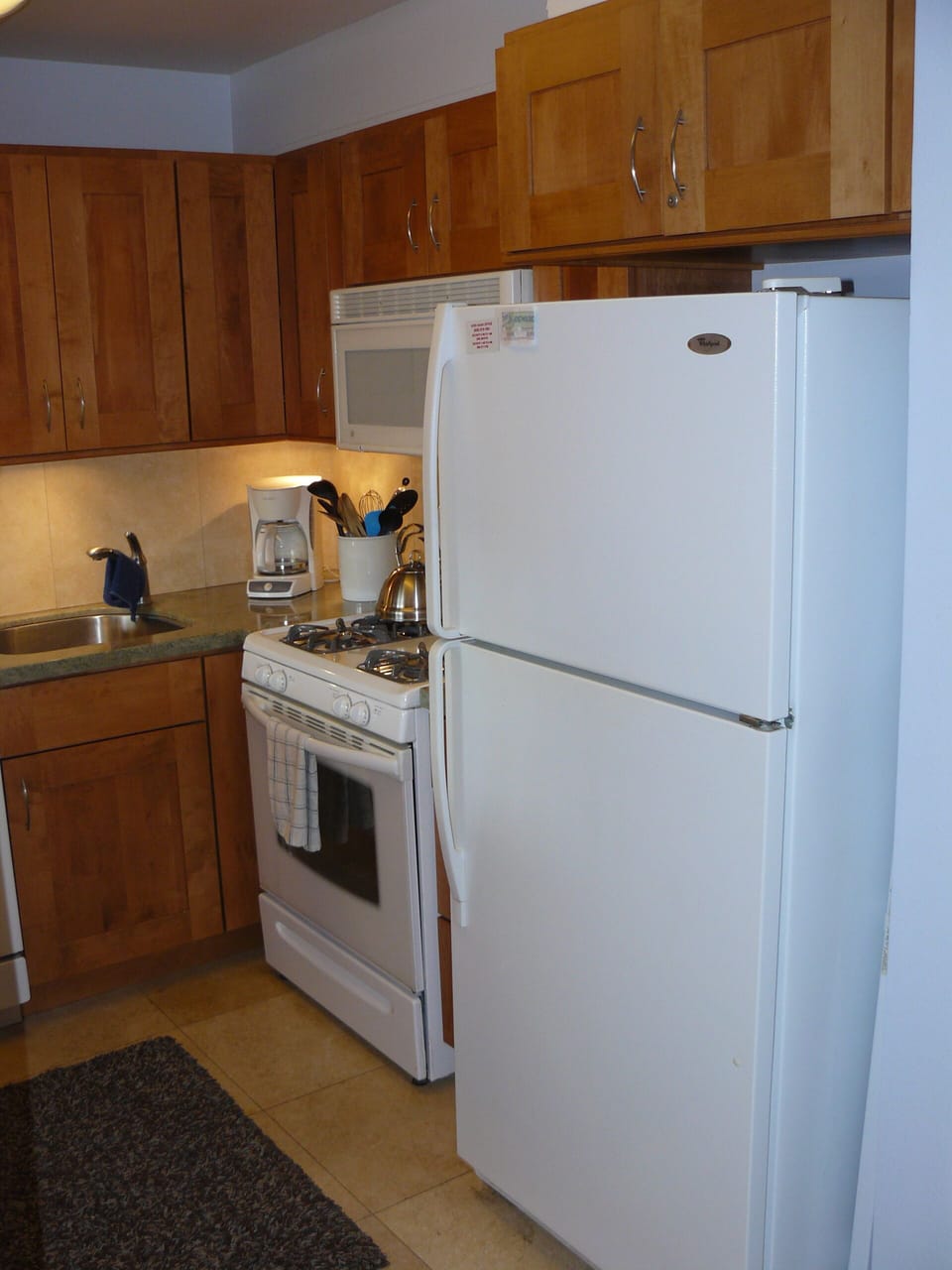 Gas stove and oven.  Microwave, full sized fridge.