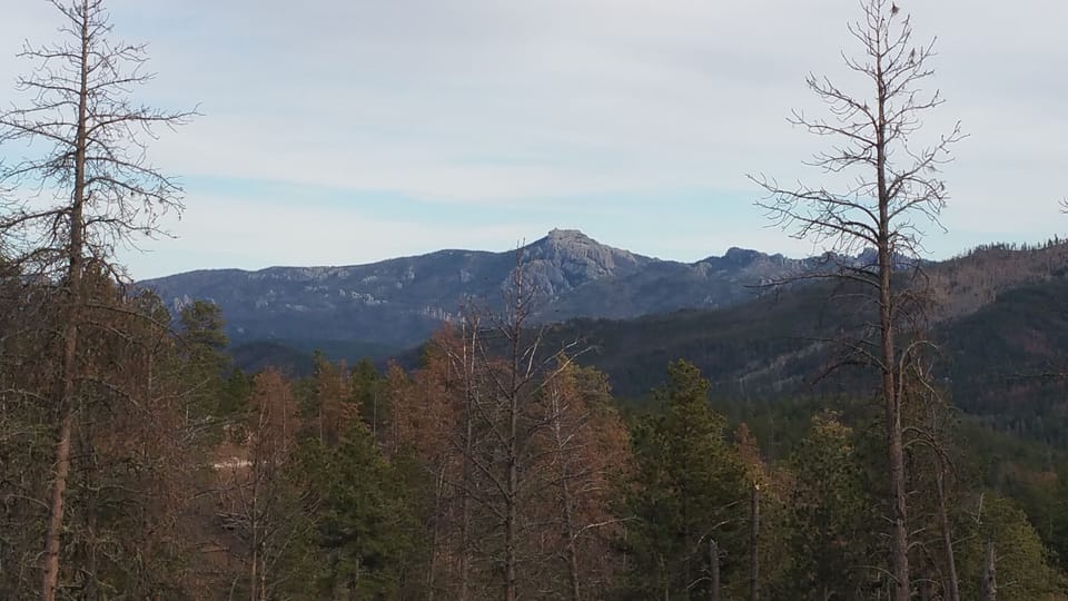 Beautiful views close to the cabin