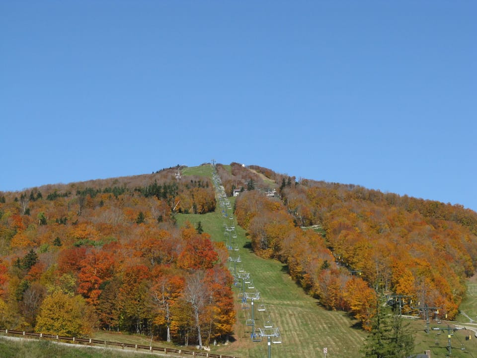 Bromley Fall Foliage