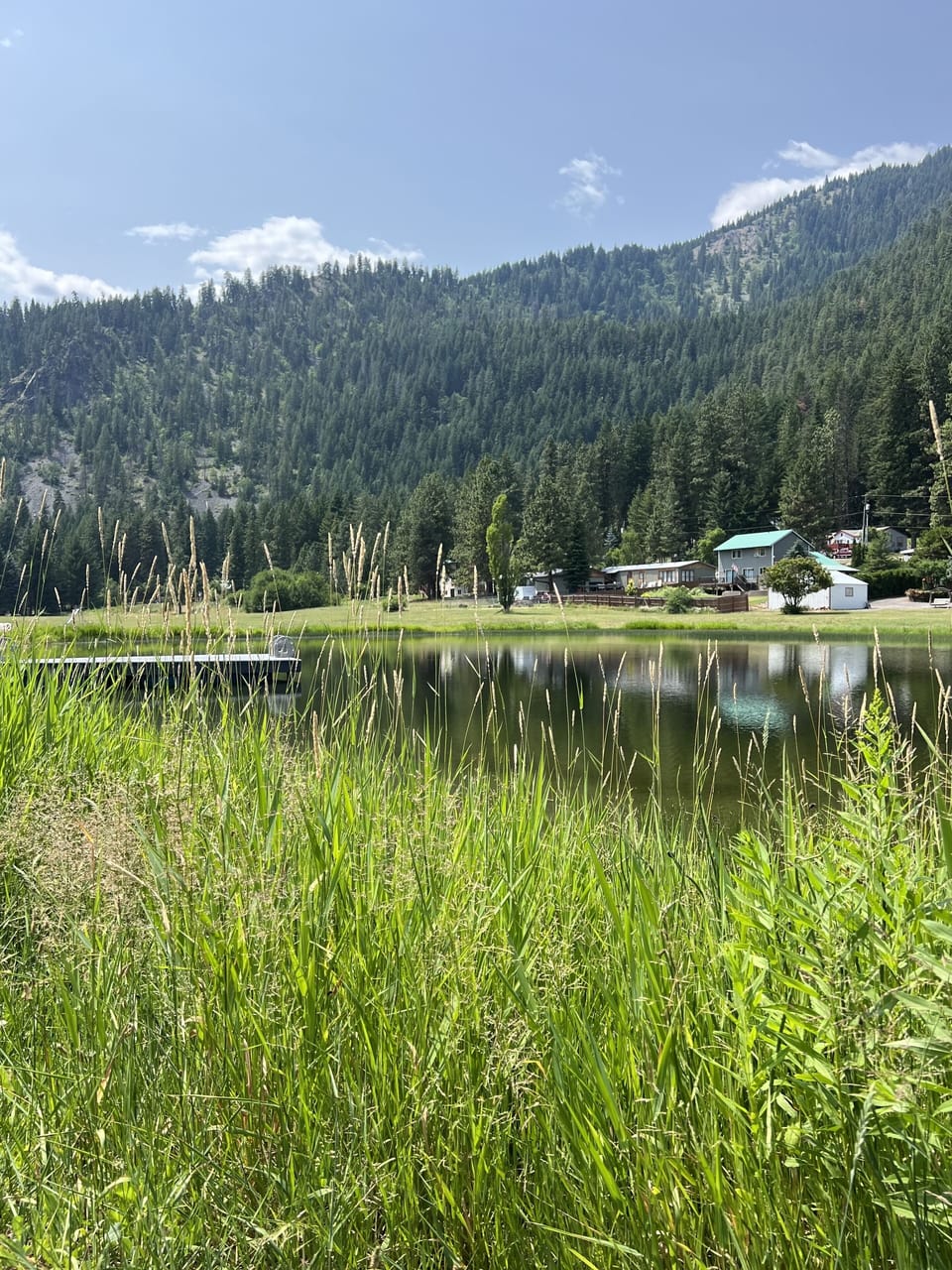 Community spring-fed swimming pond with dock for diving in or laying out 🌲