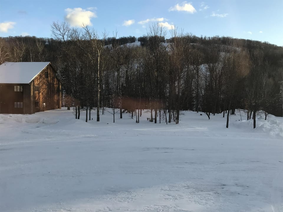 View from the patio door