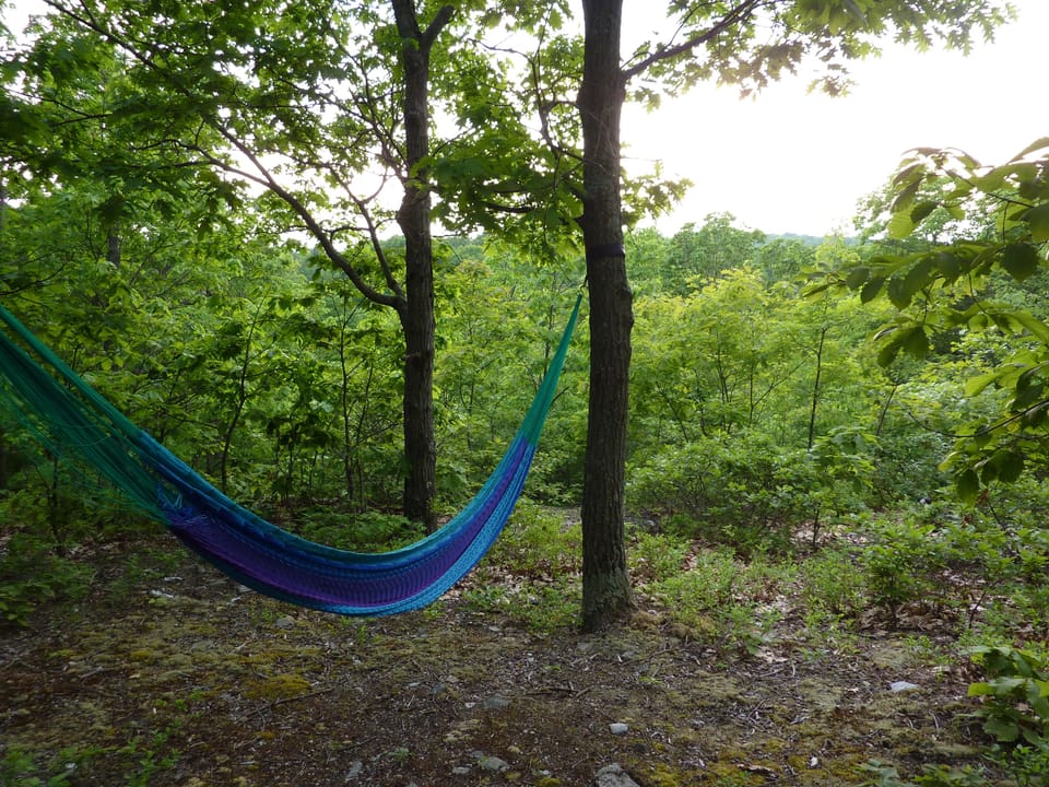 Relax in the hammock on the ridge with a view of the catskill mountains!