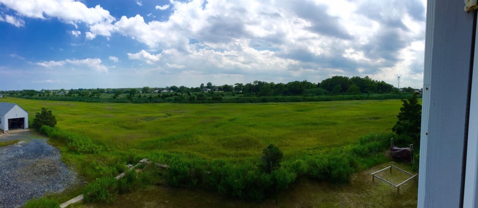 view of the marsh off the back deck