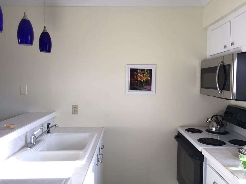 Sunlit Galley Kitchen