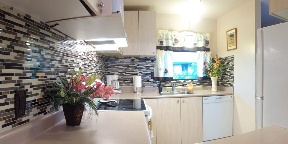 A view of a super clean, upgraded and spacious kitchen
