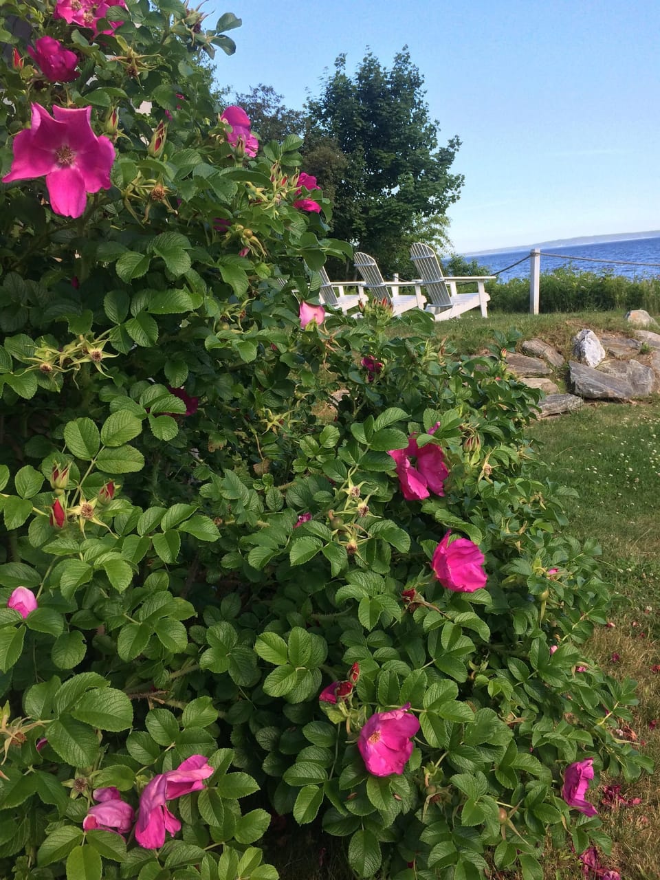 Splendor by the bay - relax on the private lawn in your chair.