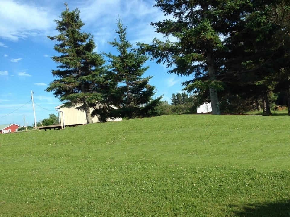Side, front and back yard with acres of grass to play on or roam.