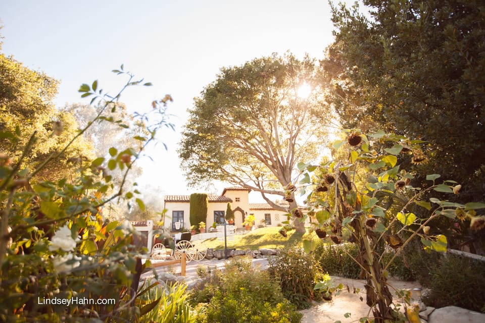 View of the Historic Main House as you head up the driveway.
