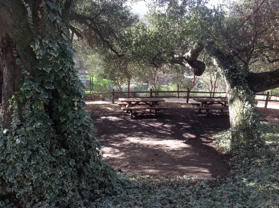 The Sneaky Woods Picnic area can seat 24 just below the Guest House.