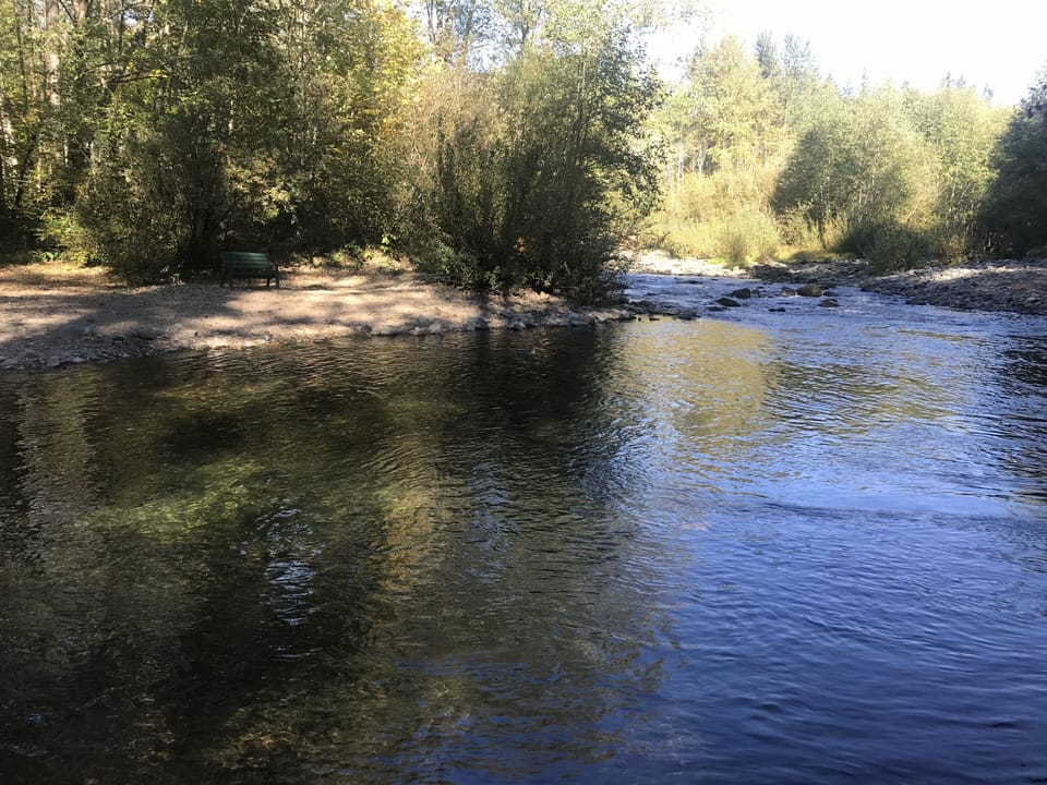 The view from our fishing hole/swimming hole on the Salmon River.