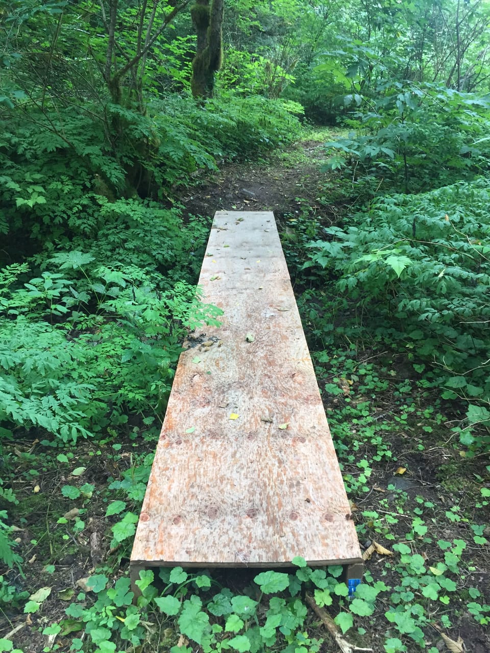 Follow the trails to sweet places.