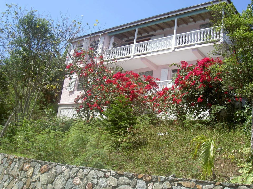Street View of House