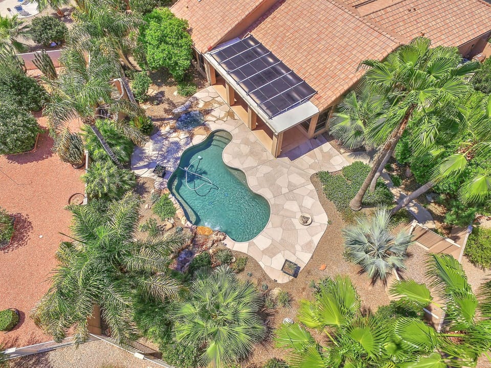 Huge, lush backyard