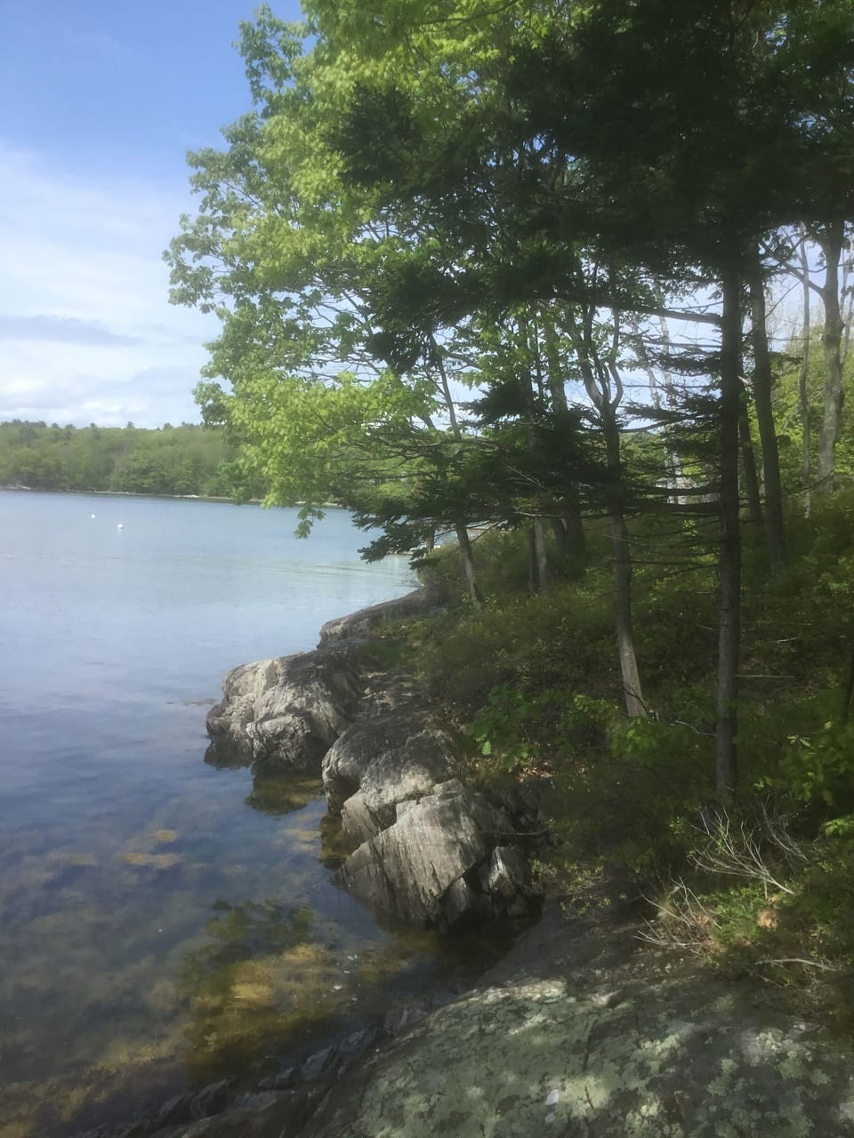 The Rocky Coast of Maine

