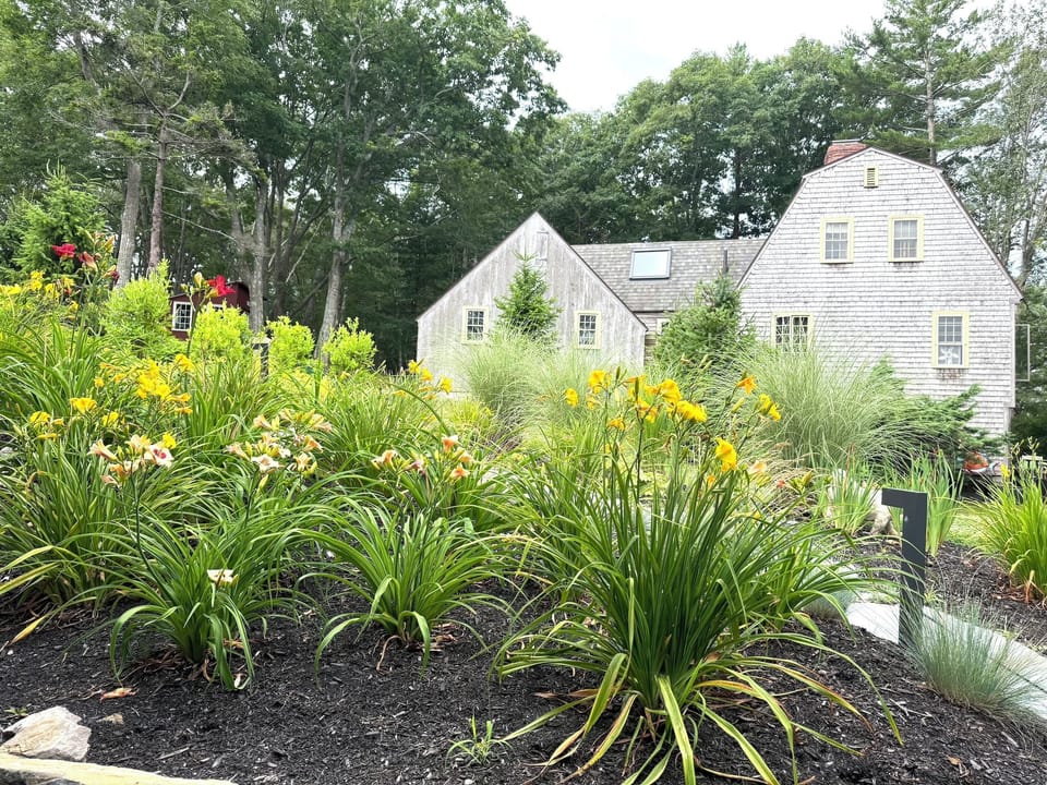 Cottage rear