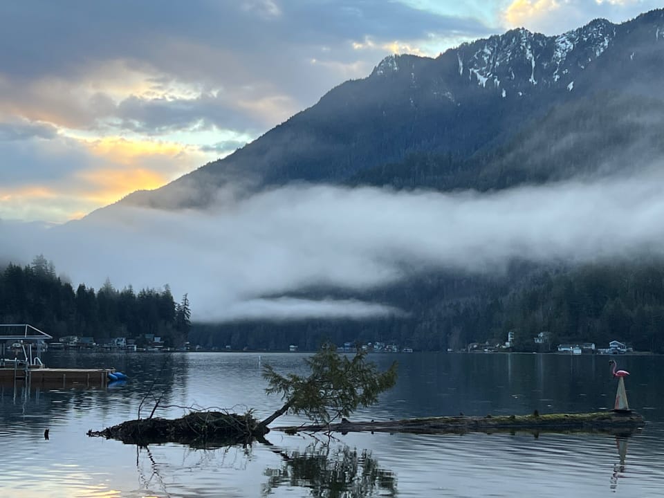 Looking west from dock.